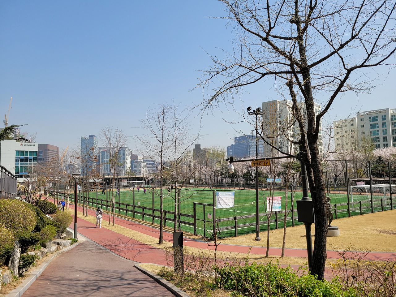 质的重建环