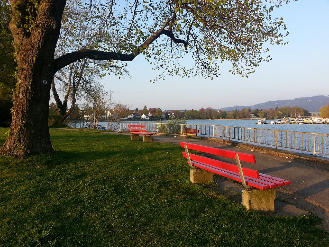 有望在接下 有望在接下