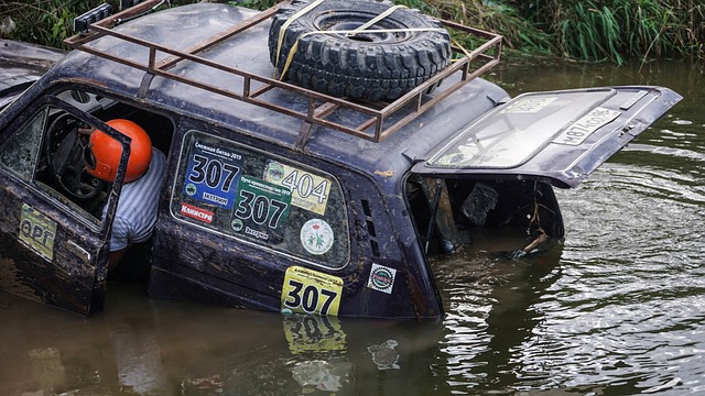 化和病毒的 化和病毒的