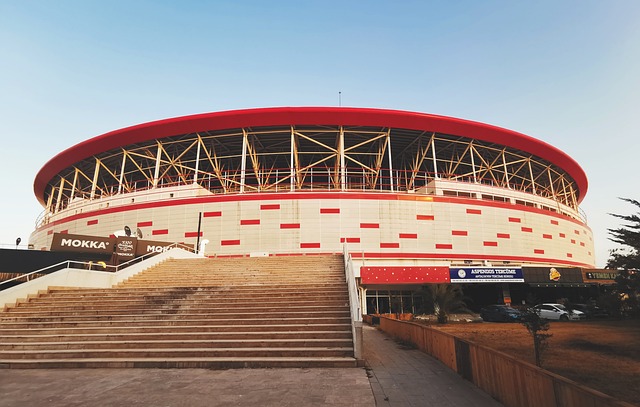 赛场上展现 赛场上展现