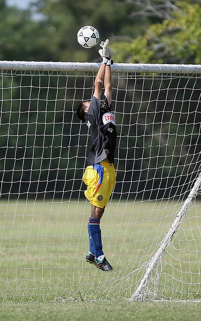 施展自己的 施展自己的