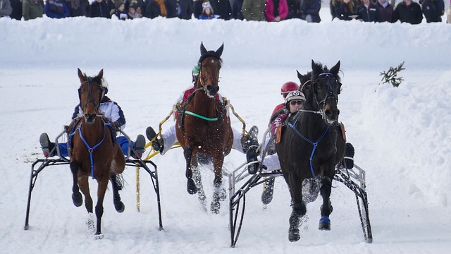 随着赛季的 随着赛季的