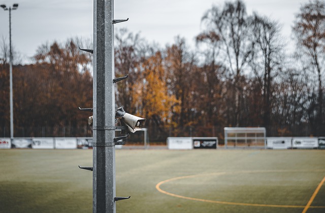 刘易斯不像 刘易斯不像