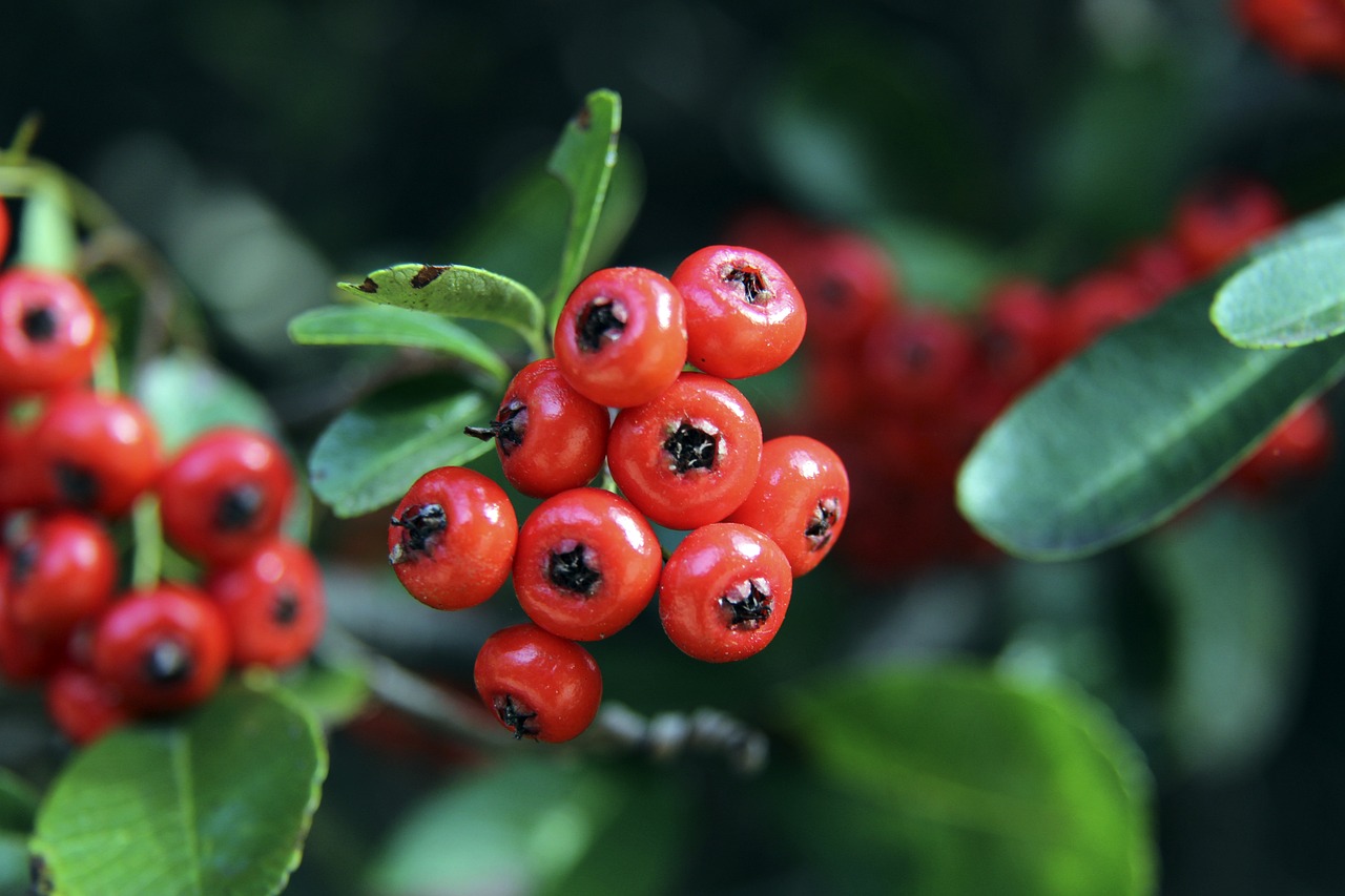 总而言之 总而言之