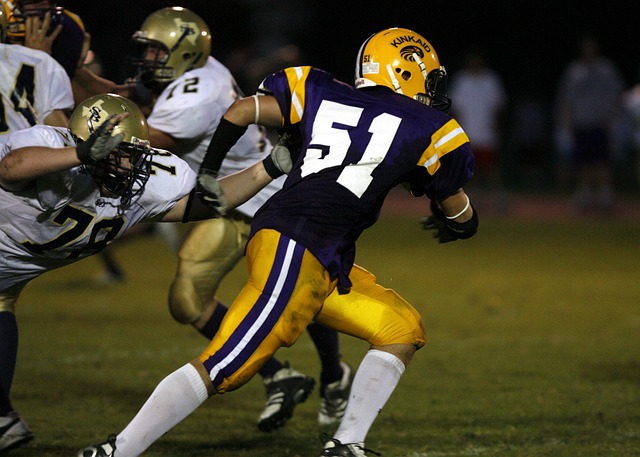 同时利用场 同时利用场